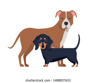 cute and adorable dogs on white background