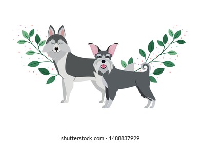 cute and adorable dogs on white background