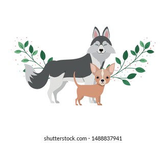 cute and adorable dogs on white background