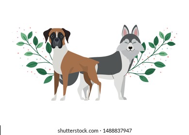 cute and adorable dogs on white background