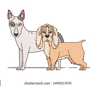 cute and adorable dogs on white background