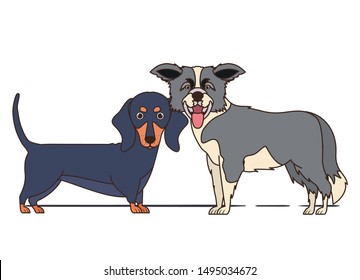 cute and adorable dogs on white background