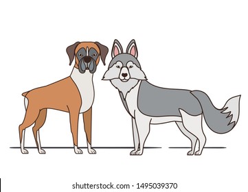 cute and adorable dogs on white background