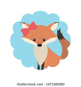 cute and adorable fox with frame