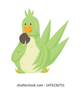 Cute adorable green parrot is eating a chocolate cookie