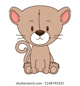 cute and adorable kitty character