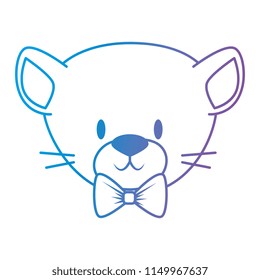 cute and adorable kitty character