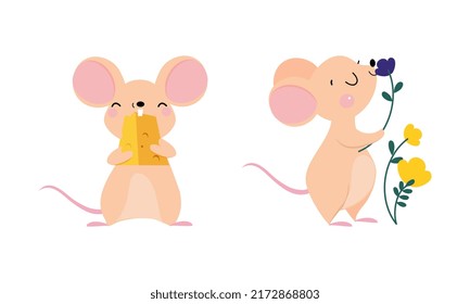 Cute adorable mice in different actions set. Funny mouse eating cheese and smelling flowers cartoon vector illustration