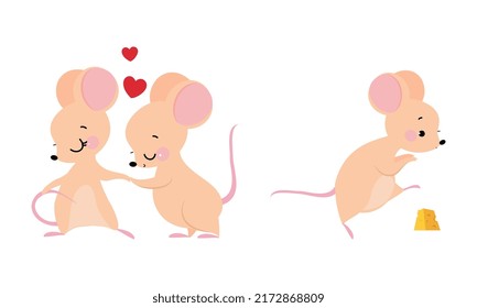 Cute adorable mice in different actions set. Couple of mouse in love cartoon vector illustration