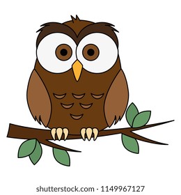 cute and adorable owl character