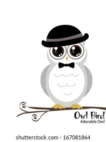cute and adorable owl on tree vector