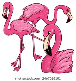 cute and adorable pink flamingo tropical bird illustration in cartoon drawing style