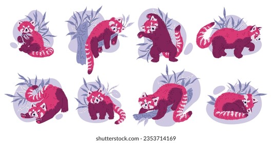 Cute adorable red panda in different poses cartoon set. Vector illustrations of chinese animal character. Funny childish character Chinese or Himalayan panda animal, cat-bear collection.