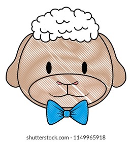 cute and adorable sheep character