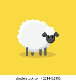 cute and adorable sheep, sheep farm