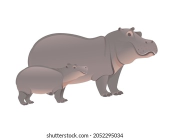 Cute adult and child Hippopotamus big mammal cartoon animal vector illustration