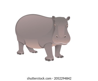 Cute adult Hippopotamus big mammal cartoon animal vector illustration