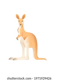 Cute adult kangaroo australian animal cartoon animal design vector illustration isolated on white background