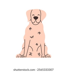 Cute adult labrador sits and smiles. Vector hand draw illustration. 