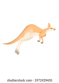 Cute adult running kangaroo australian animal cartoon animal design vector illustration isolated on white background