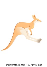 Cute adult running kangaroo australian animal cartoon animal design vector illustration isolated on white background