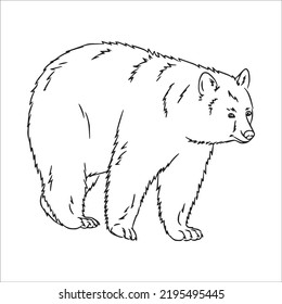 cute adult Unique and Creative Bear line art,Bear vector art,Bear line drawing,Bear illustrations With coloring book pages
