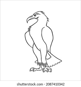 cute adult Unique and Creative eagle line art,eagle vector art,eagle line drawing,eagle illustrations With coloring book pages