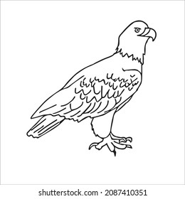 Cute Adult Unique And Creative Eagle Line Art,eagle Vector Art,eagle Line Drawing,eagle Illustrations With Coloring Book Pages