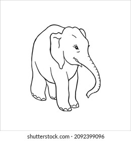 cute adult Unique and Creative Elephant line art,vector art,Elephant line drawing,illustrations With coloring book pages