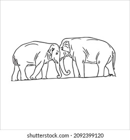 cute adult Unique and Creative Elephant line art,vector art,Elephant line drawing,illustrations With coloring book pages