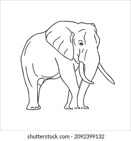 cute adult Unique and Creative Elephant line art,vector art,Elephant line drawing,illustrations With coloring book pages