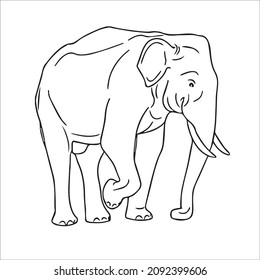 cute adult Unique and Creative Elephant line art,vector art,Elephant line drawing,illustrations With coloring book pages