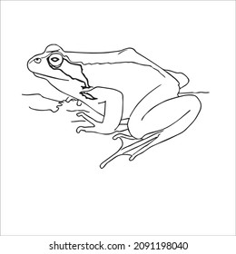 cute adult Unique and Creative Frog line art,vector art,line drawing,Frog illustrations With coloring book pages