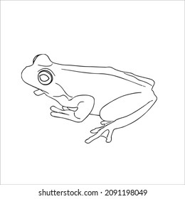 6,399 Frog Line Art Images, Stock Photos & Vectors 