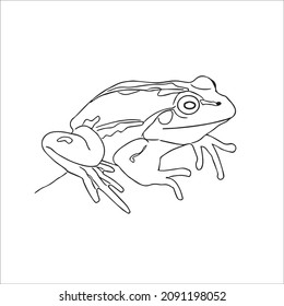 6,399 Frog Line Art Images, Stock Photos & Vectors | Shutterstock