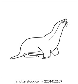 cute adult Unique and Creative Fur Seal line art, Fur Seal vector art and line drawing,Fur Seal illustrations With coloring book pages