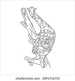 cute adult Unique and Creative Giraffe line art,vector art, Giraffe line drawing, illustrations With coloring book pages