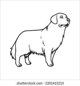 cute adult Unique   Creative Golden Retriever line art  Golden Retriever vector art   line drawing Golden Retriever illustrations With coloring book pages