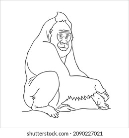 cute adult Unique and Creative Gorilla line art, Gorilla vector art and line drawing,illustrations With coloring book pages
