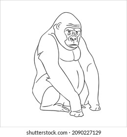 cute adult Unique and Creative Gorilla line art, Gorilla vector art and line drawing,illustrations With coloring book pages