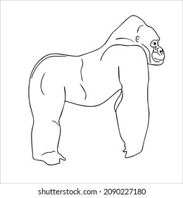 cute adult Unique and Creative Gorilla line art, Gorilla vector art and line drawing,illustrations With coloring book pages