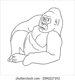 cute adult Unique and Creative Gorilla line art, Gorilla vector art and line drawing,illustrations With coloring book pages