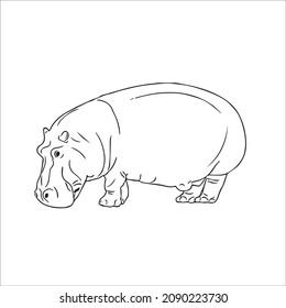 cute adult Unique and Creative hippo line art,vector art and line drawing,illustrations With coloring book pages