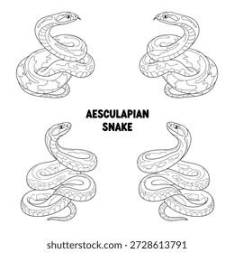 Cute Aesculapian Snake Animal Vector Illustrations