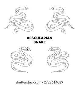 Cute Aesculapian Snake Animal Vector Illustration