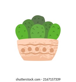 Cute aesthetic mini cactus. Isolated Ilustration. Flat style. Scalable  editable vector format.