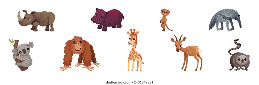 Pequeños animales africanos y colección de vectores de fauna silvestre del sur