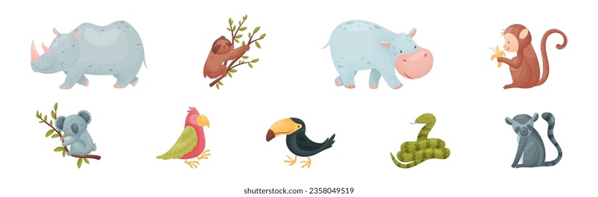 Cute African Animals and Zoo Creature Vector Set