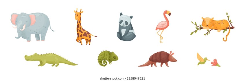Cute African Animals and Zoo Creature Vector Set