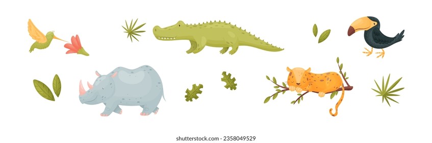 Cute African Animals and Zoo Creature Vector Set